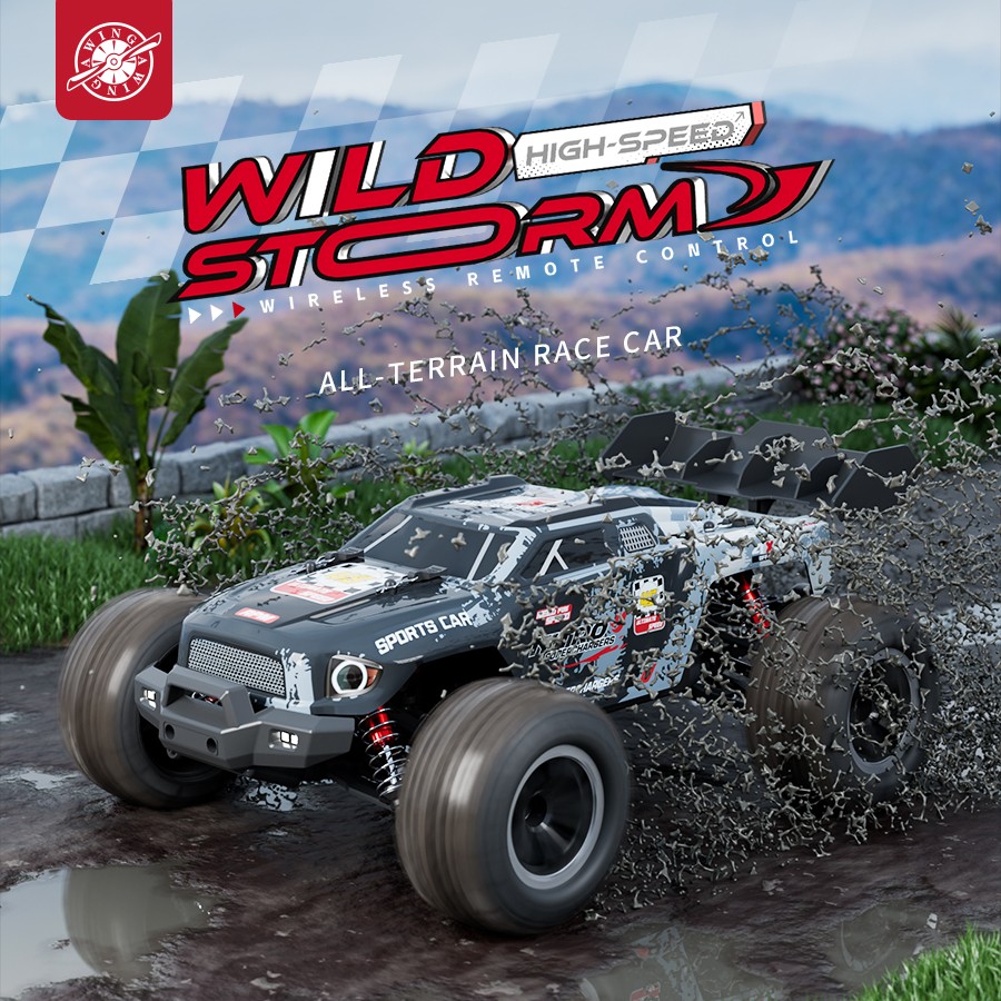 2.4G 1:16  BRUSHLESS  RC SPEED CAR